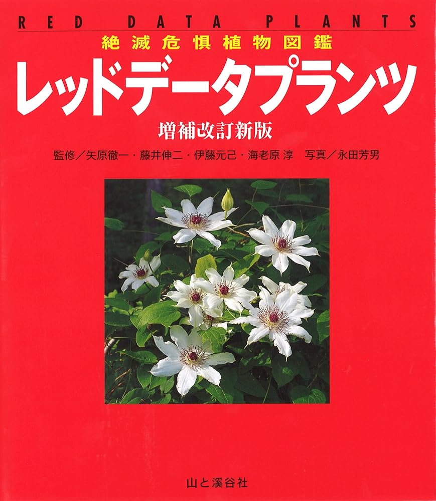 レッドデータプランツ : 絶滅危惧植物図鑑　　増補改訂新版 絶滅危惧植物図鑑 レッドデータプランツ 増補改訂新版 | 矢原 徹
